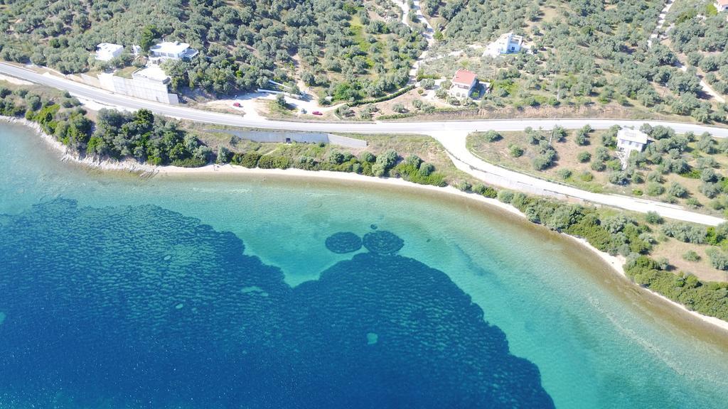 Calypso Beach Hotel Loutra Edipsou  Exteriér fotografie
